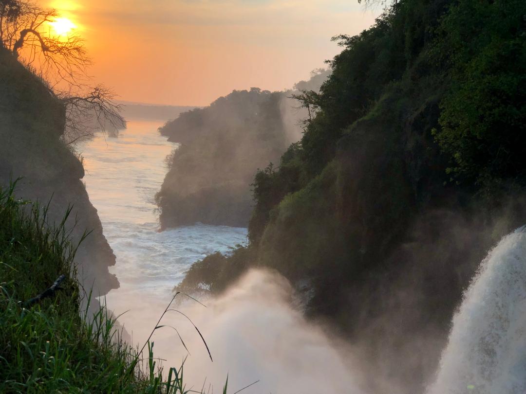 Sunrise Over Savanna