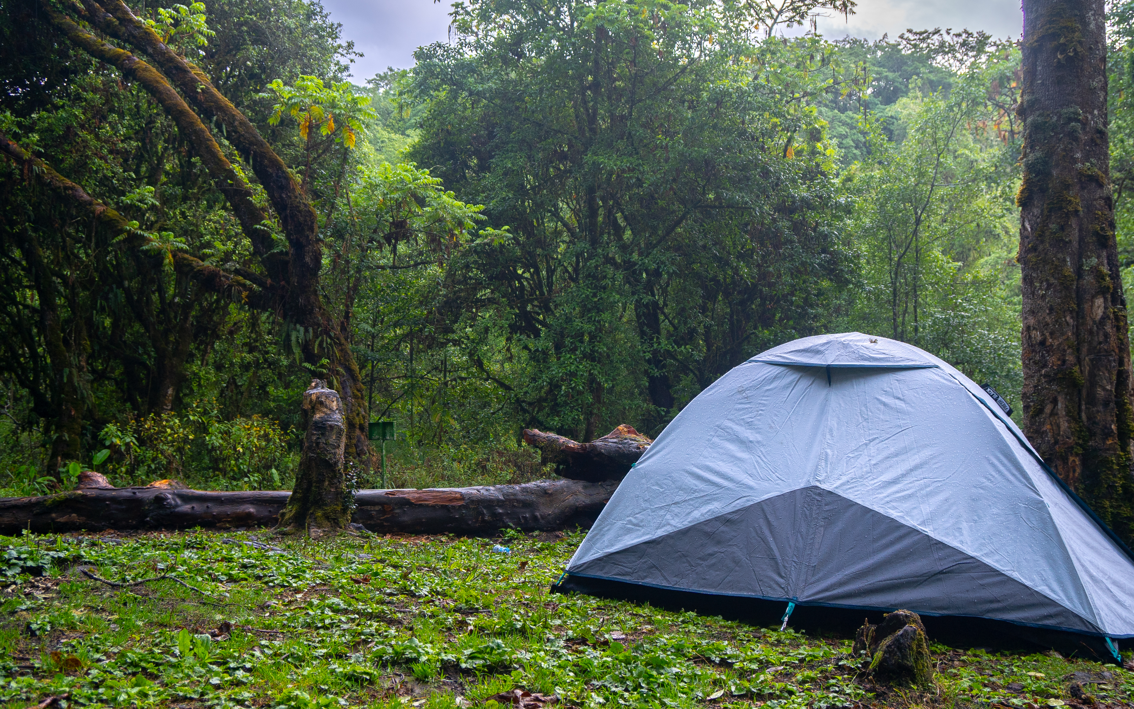 Murchison Falls Tented Camp
